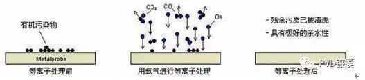 微信圖片_20240717133504.jpg